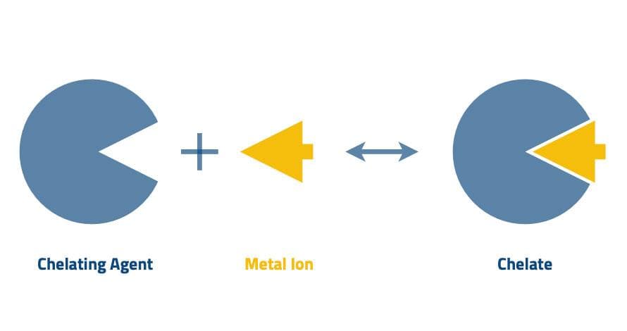 Structure of chelating resins