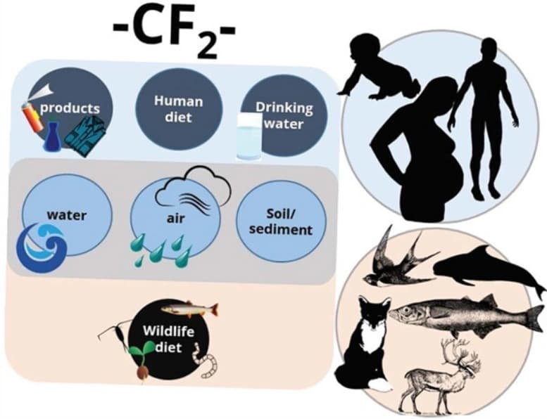 PFAS Health Implications