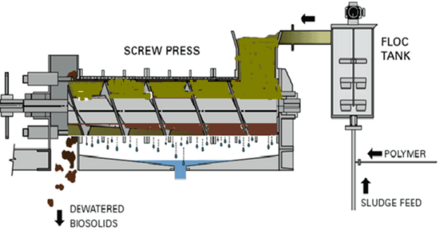 Screw press for sludge dewatering